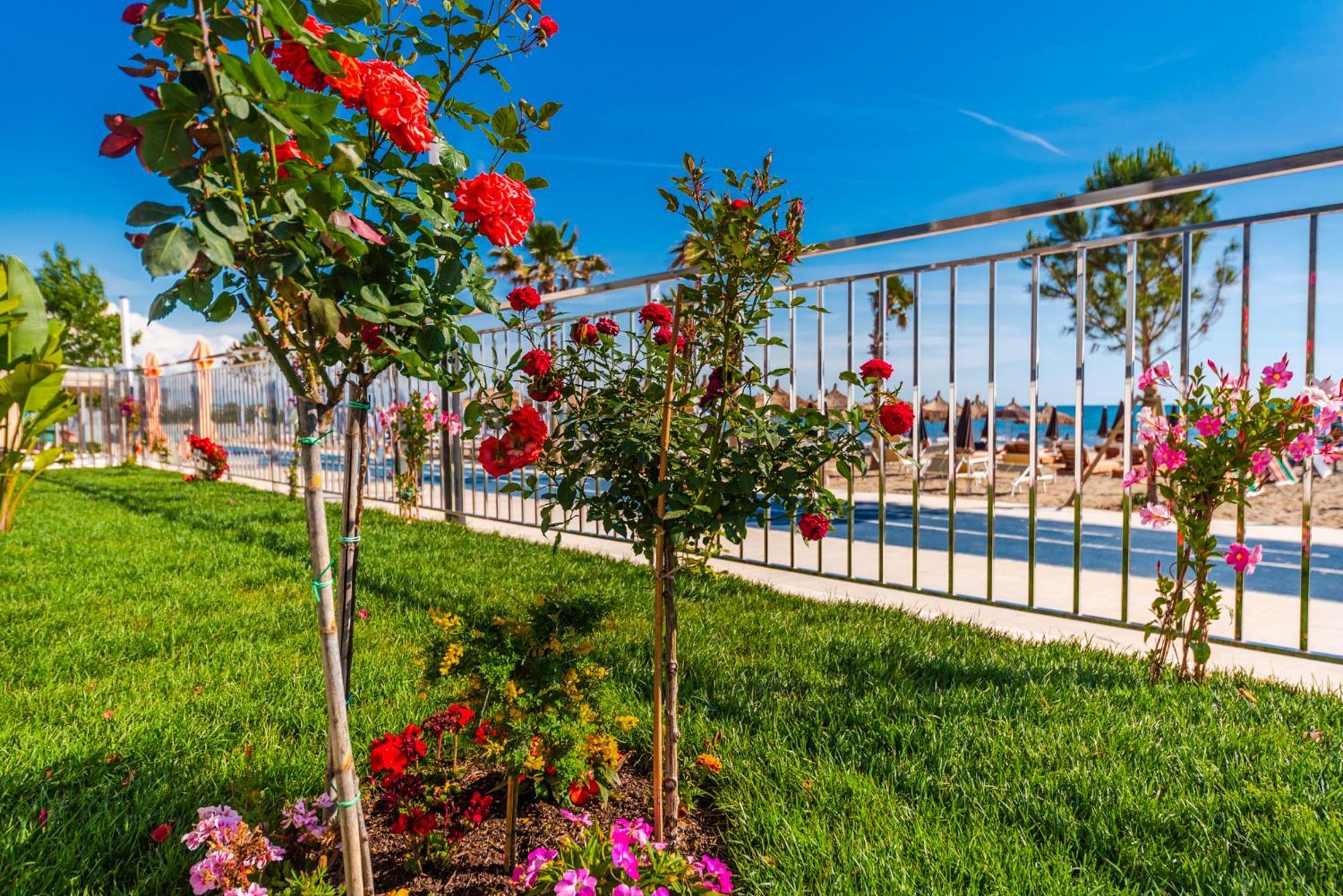 Sea View Apartments Eldo Dıraç Dış mekan fotoğraf